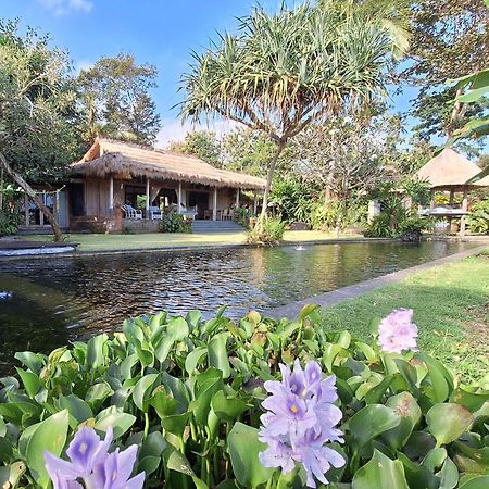 Bali Beach Eco Villas Pondok Matekap Selemadeg  외부 사진