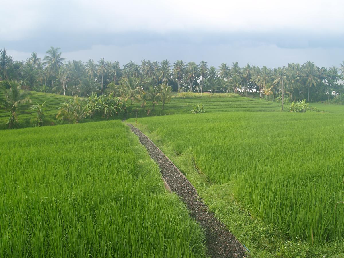 Bali Beach Eco Villas Pondok Matekap Selemadeg  외부 사진
