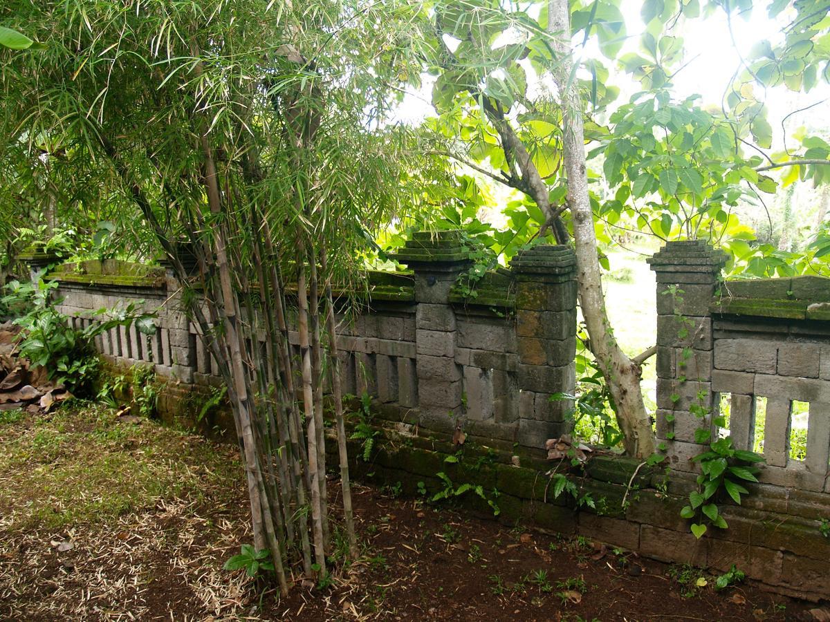 Bali Beach Eco Villas Pondok Matekap Selemadeg  외부 사진