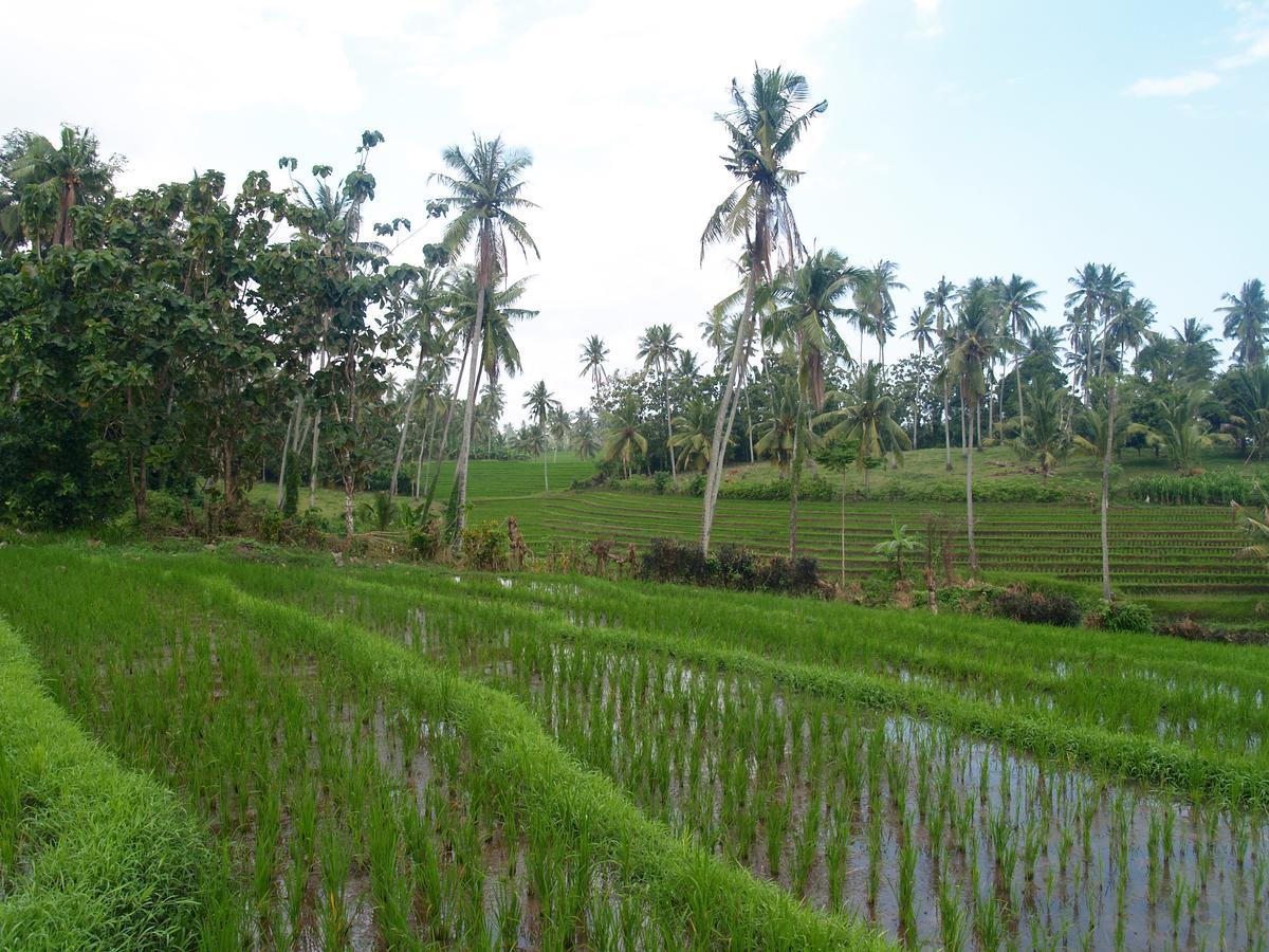Bali Beach Eco Villas Pondok Matekap Selemadeg  외부 사진
