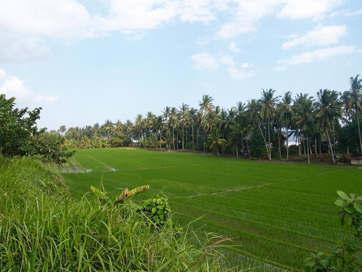 Bali Beach Eco Villas Pondok Matekap Selemadeg  외부 사진