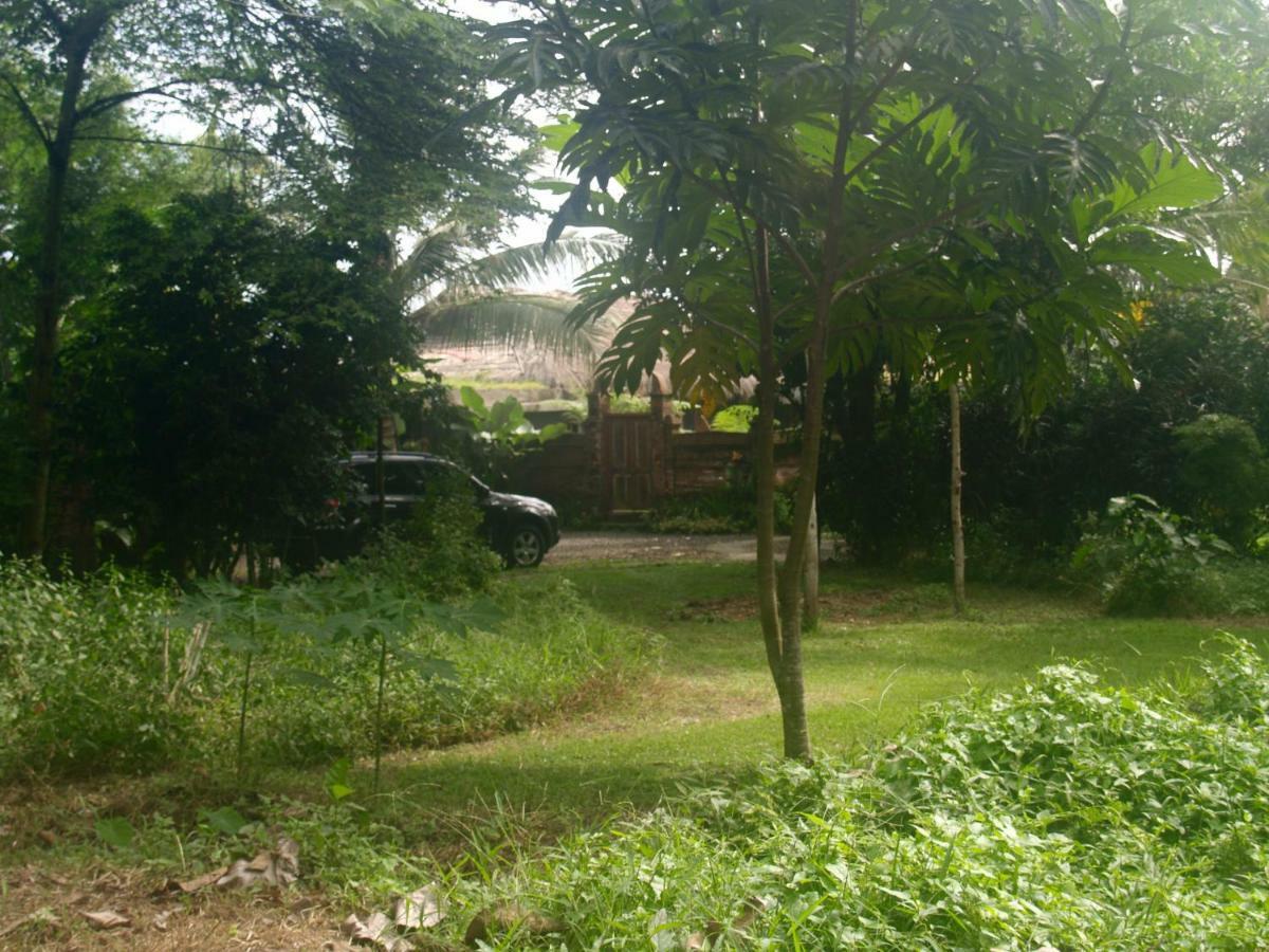 Bali Beach Eco Villas Pondok Matekap Selemadeg  외부 사진