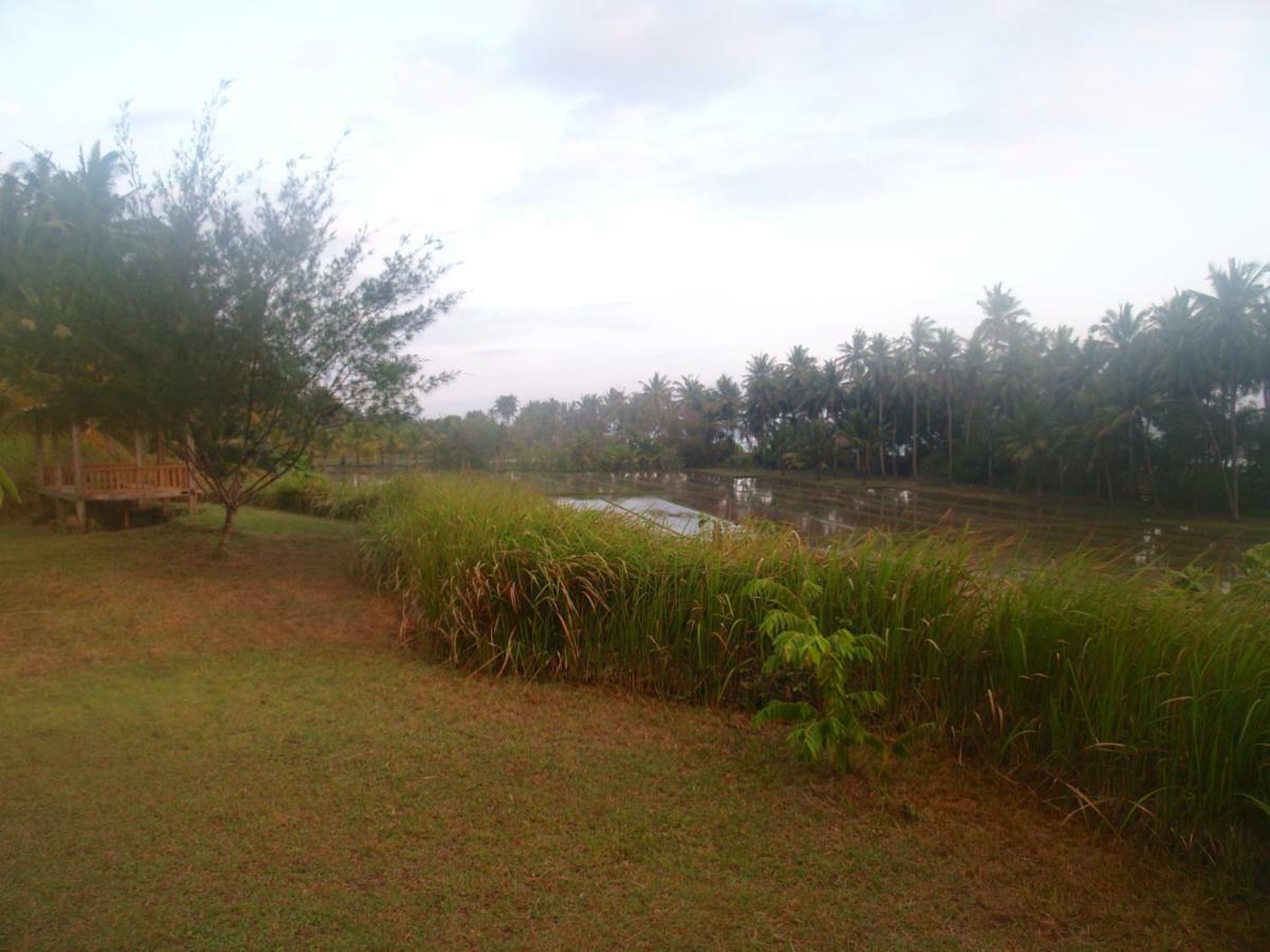 Bali Beach Eco Villas Pondok Matekap Selemadeg  외부 사진